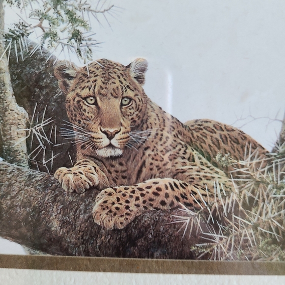 Robert Bateman Framed Print Leopard - Picture 2 of 7